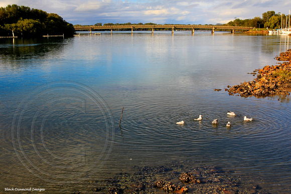 Laurieton Dunbogan Bridge, Camden Haven River, Mid North Coast, NSW