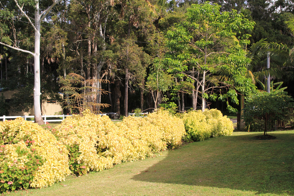 Garden of Eden, Tuncurry, NSW
