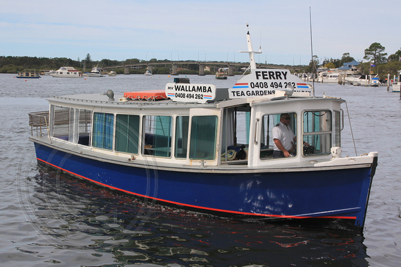 "The Wally" M.V. Wallamba, (1986 - )Tea Gardens to Nelson Bay Ferry 2nd April 2015