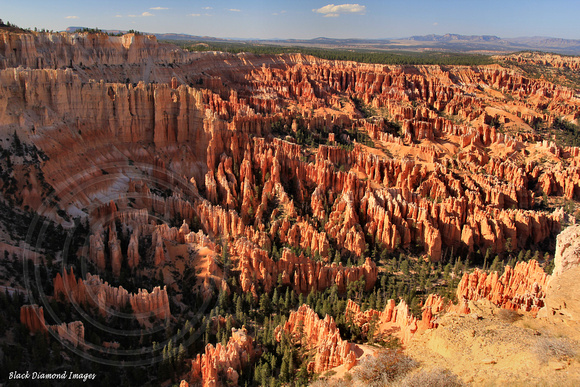 The Ampitheatre, Bryce Point, Bryce Canyon, Utah