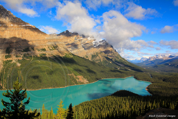 Peyto Lake from Bow Summit Lookout, Alberta, Canada
