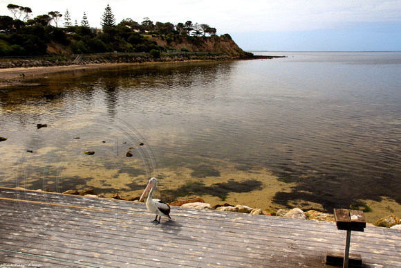 Kingscote Beach,  Kangaroo Island. South Australia