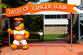 Taste of Ginger Tour, Ginger Factory Yandina, Sunshine Coast, Qld