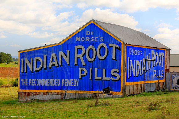 Dr Morse's Indian Root Pills Sign - East Maitland-Morpeth Road, NSW
