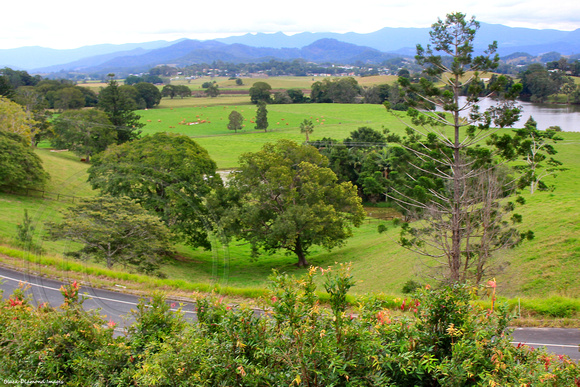 View from Tweed Valley Art Gallery, Murwillumbah, NSW