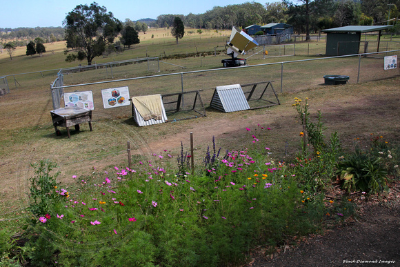 Beekeeping & Solar Cooker - Honeycomb Valley and Farm Stay, Nabiac, NSW