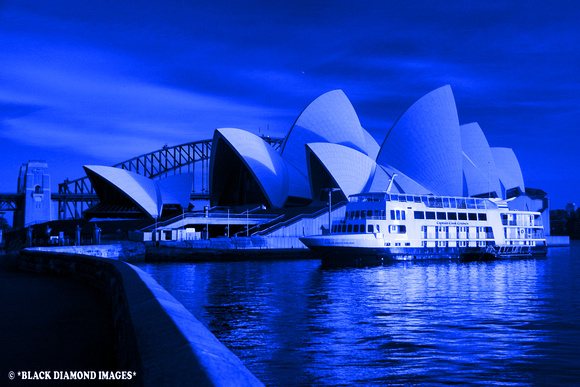 Sydney blue