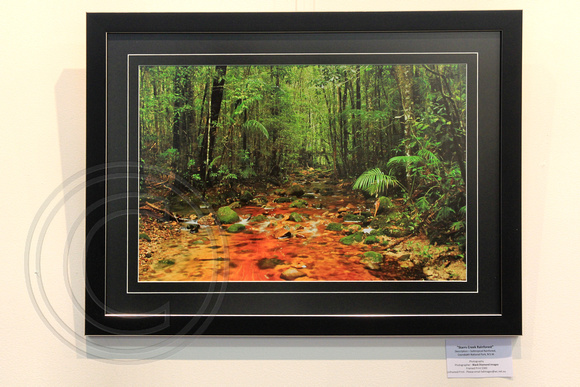 Starrs Creek Rainforest (Framed)