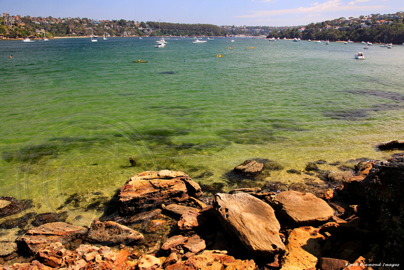 Sydney Harbour Looking to Clontarf Bay