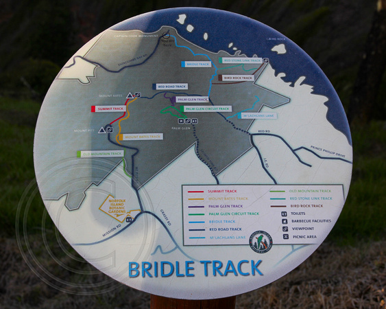 Bridle Track, Captain Cook Lookout, Norfolk National Park, Norfolk Island