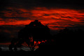 Figtree Sunset 26th June 2007