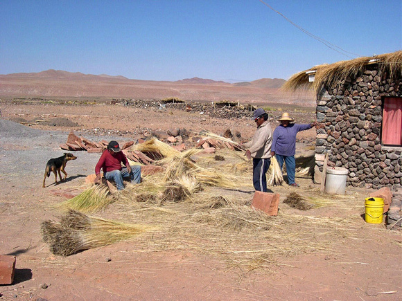 San Pedro de Atacama, Desert Altiplano (99)_edited