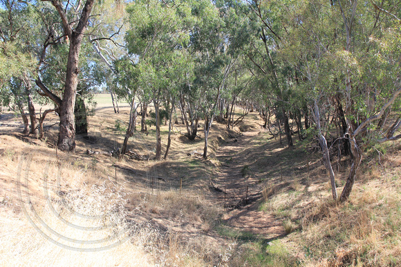 Culcairn Henty Rd, South West Slopes, NSW, Australia