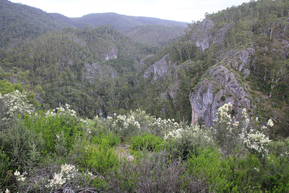 Jillabenan Cave, Yarrangobilly Caves, Kosciuszko National Park, NSW