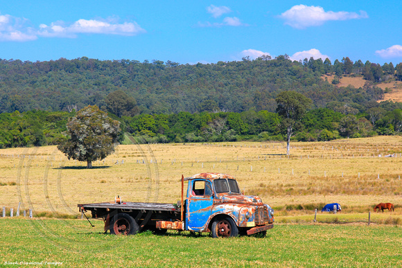 Old Truck in Paddock, Abbotts Rd, Dyers Crossing, Near Nabiac, NSW