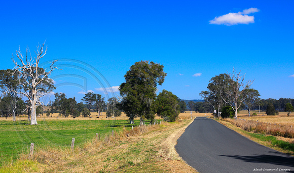 Southern Rural View Just Outside Village Limits - Dyers Crossing on Wallanbah Rd, Near Nabiac, NSW