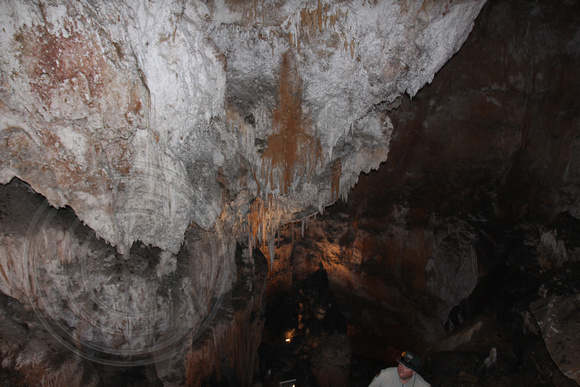 Jersey Cave, Yarrangobilly Caves, Kosciuszko National Park, NSW