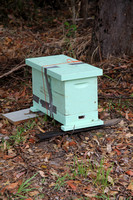 Small Hive Beetle Traps - Beekeeping