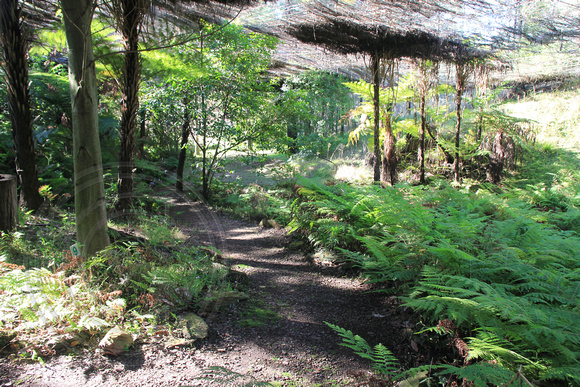 Burrendong Botanic Gardens & Dam, Near Wellington, NSW,Australia