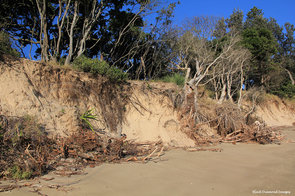 Beach Erosion at Forster Beach, Scotts Head, Mid North Coast, NSW