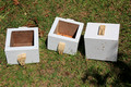 Boxes For New Native Bee Hives