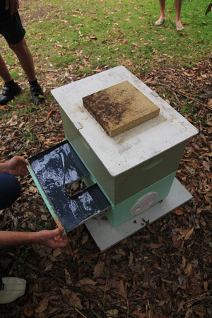 Small Hive Beetle Trap - October 2011