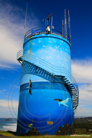 Humpback Whale Migration Mural - Woolgoolga Water Tower Hill, Mid North Coast, NSW, Australia