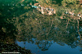 Jenolan River Blue Lake Reflections-April 17th 2007