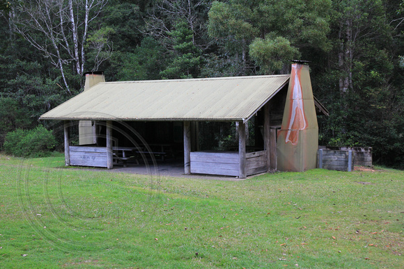 Plateau Beech Rest Area Shelter, Werrikimbe National Park