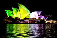 Opera House - Vivid Sydney Festival of Music Light and Ideas