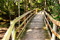 Access to Diamond Beach Via Littoral Rainforest