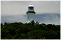 Wategos Beach to Cape Byron Lighthouse Walk.