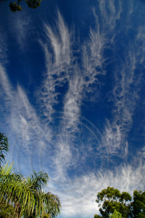 Clouds 2. -18th Feb 2007