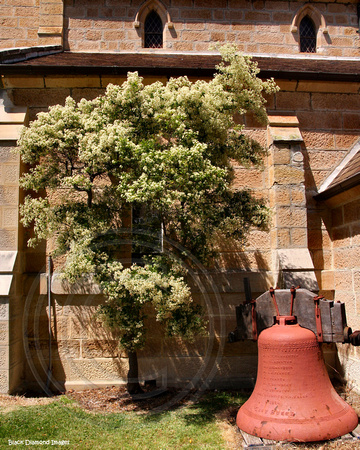 St Jude's Church, Randwick, NSW. Sydney, Australia