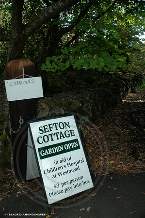 Sefton Cottage-Mt Wilson -April 14th 2007