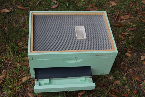 Small Hive Beetle Trap - October 2011