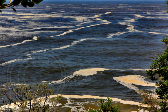 6.2.2012 - View of Flood Debri from Flagstaff Hill Port Macquarie