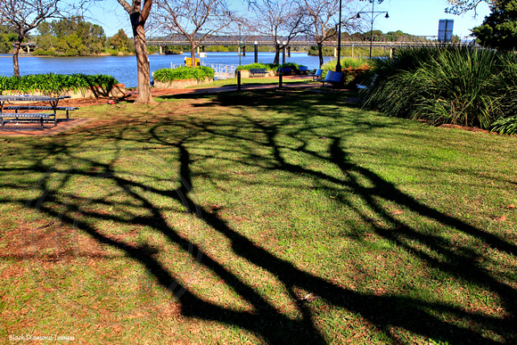Shadows - Queen Elizabeth Park & Manning River, Taree, NSW
