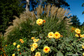 Mount Tomah Botanic Garden 20th April 2007