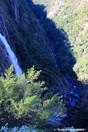 Ellenborough Falls, Elands,NSW - From Top Lookout