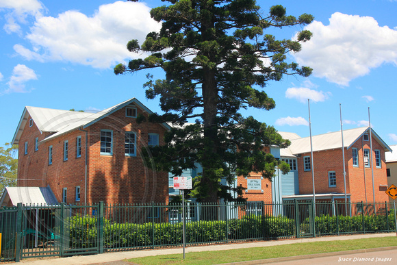 Taree Public School  30.1.15 (3)ed