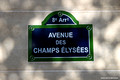 Avenue des Champs Elysees, Paris, France