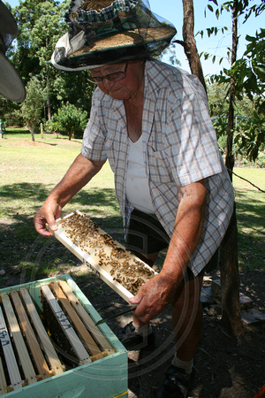 Beekeeping at Raintrees Xmas Day 2014