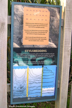 Stylobedding - Punakaiki, Pancake Rocks, West Coast South Island, New Zealand
