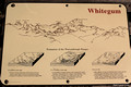 Geology of the Warrumbungles - Warrumbungle National Park, NSW