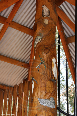 Carvings - Discovery Playground - Hunter Wetland Centre