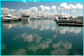 d'Albora Marina Nelson Bay,Cloud Reflections