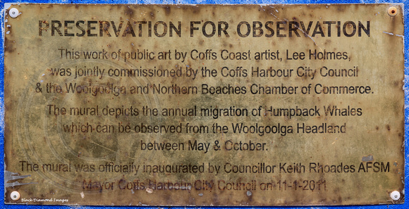 Plaque on Public Mural by Coffs Coast Artist Lee Holmes - Woolgoolga Water Tower Lookout