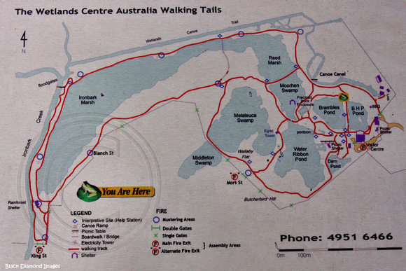 Hunter Wetlands  Centre 2011- Site Map