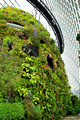 Cloud Forest Dome, Gardens By The Bay, Singapore